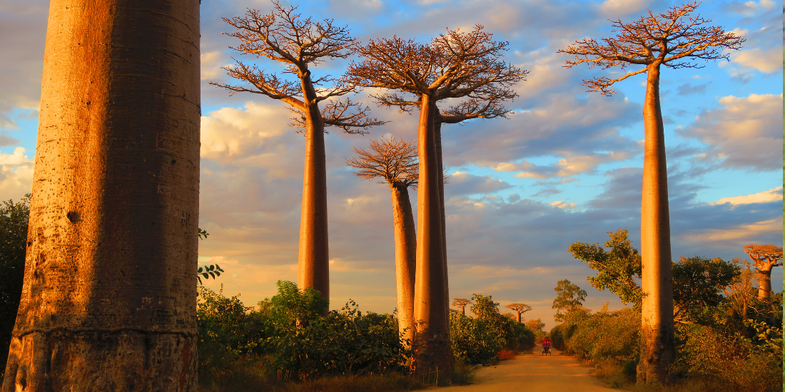 Madagascar